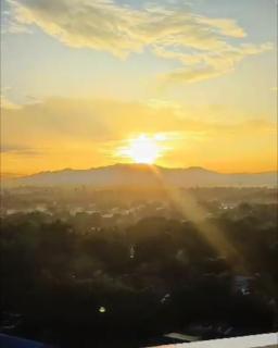 Reflective Woodscape- 1 Bedroom with Balcony - 9
