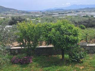 Campus Verde - Eleftheres - 3