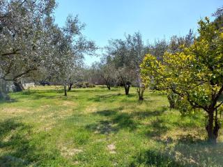 Campus Verde - Eleftheres - 2