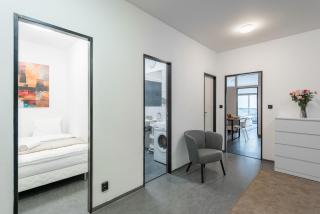 3 bedroom apartment near center of Prague - 1