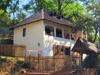 Conacul Copilăriei - 2