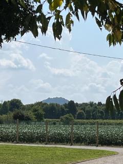 Locazione Turistica Le Selve - 4