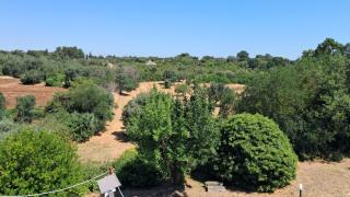 Trulli Camaris - Ceglie Messapica - 8
