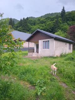 Forest Home near Borjomi - 4