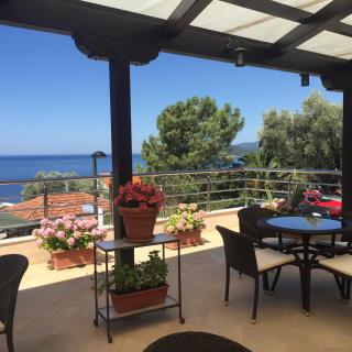 Apartments Marina - Sveti Stefan - 1