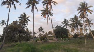 Stunning sea view, charming beach house in Barra, Mozambique - 4x4 - 1