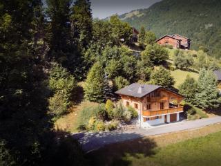 Chalet Roche de Pierre - OVO Network - Saint-Jean-d'Aulps - 6