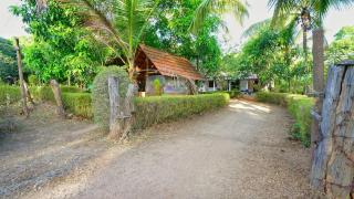 Crown Cabin - Sigiriya - 2