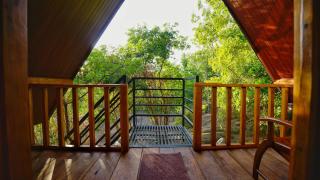 Jungle Crown Cabin - 5