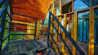 Jungle Crown Cabin - 3