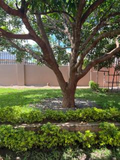 47 The Heights, Area 47, Sector 1, Lilongwe - Lilongwe - 3