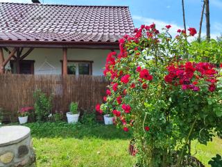 Brzozowa Chatka - Dom nad Jeziorem - Wellness & Ceragem - 6