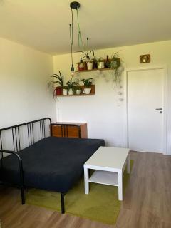 Quiet apartment in Rožnov p R Homestay - Rožnov pod Radhoštěm - 4