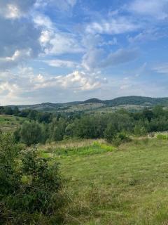 BerryWood - Verkhnyaya Stynava - 1