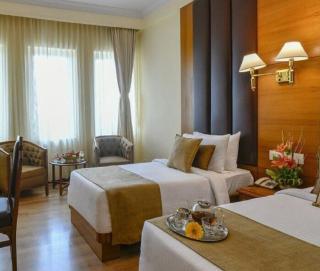 Hotel Goodwill Holidays Near Delhi Airport - 6