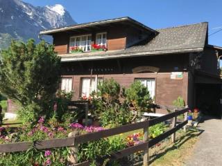 Beim Faulensee 2-Bett Wohnung 1 Stock Ost - Grindelwald - 0