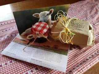 Chalet Staufenhof - 2