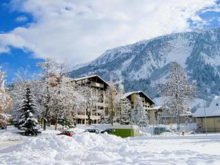 Hotel Disentiserhof C502 - Disentis - 0