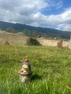 Shahdag Nature House - Qusar - 5