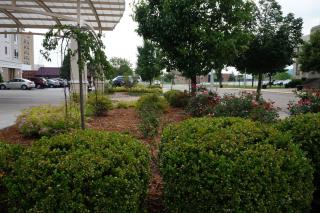 Holiday Inn Portsmouth Downtown by IHG - 8