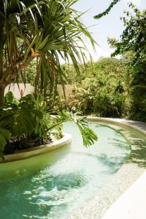 Mistiq Gardens 2 - 1