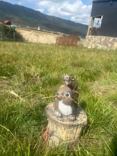 Shahdag Nature House - Qusar - 9
