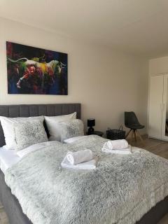 Stayaire - Schönebeck - 0