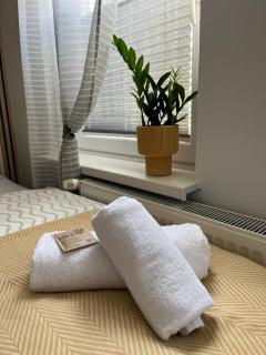 Privatzimmer in Delmenhorst - Delmenhorst - 5