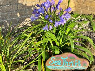 Finest Retreats - Sea Thrift at Widemouth Bay - - 7
