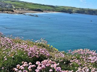 Finest Retreats - Sea Thrift at Widemouth Bay - - 6