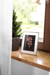 Ferienwohnung Panoramablick - super für deine Familie und die besten Aussicht in ganz Todtmoos - 5
