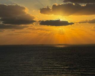 Blue love seaview - 8