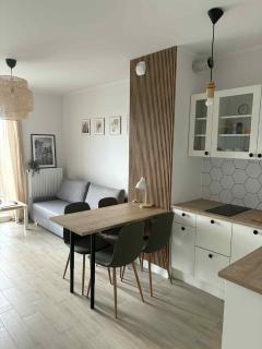 Apartament w Szczecinie przy Stoczni - 7