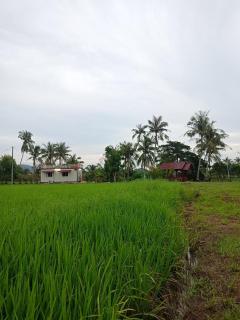 Inapan eynaman - 5