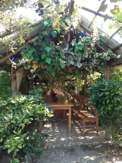Hostel Martvili Tasia - 9