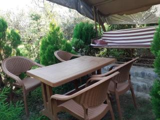 Hostel Martvili Tasia - 2