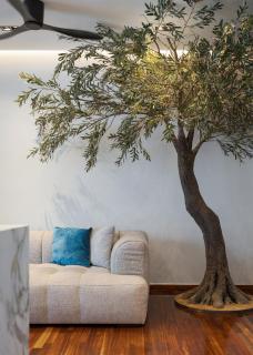 Lux Suites Olive Glow by MPS - Atene - 5