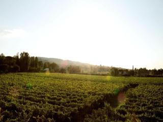 Villa in Cannara with Pool near Assisi - Tordandrea - 5