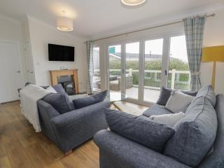Platinum Lodge 503 - Talybont - 7