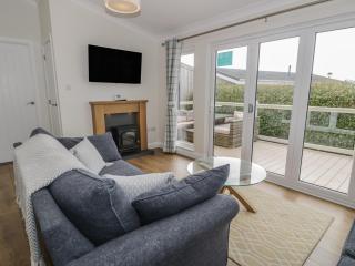 Platinum Lodge 503 - Talybont - 6
