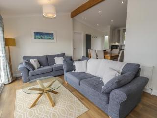Platinum Lodge 503 - Talybont - 5
