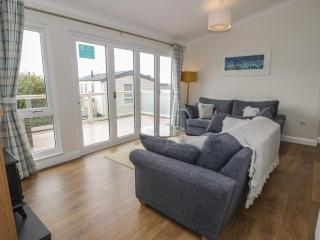 Platinum Lodge 503 - Talybont - 4