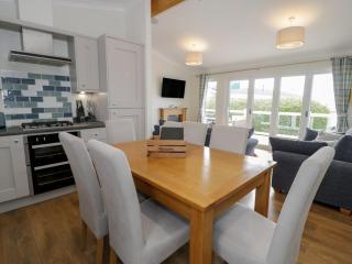 Platinum Lodge 503 - Talybont - 3