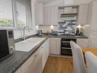 Platinum Lodge 503 - Talybont - 2