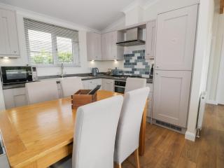 Platinum Lodge 503 - Talybont - 1