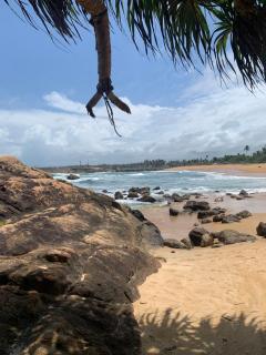 R&N Yellow House - 9