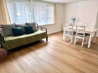Home in Antwerp city center - Anversa - 7