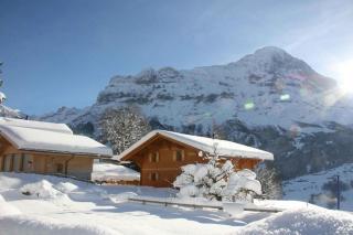 Superior Ferienwohnung Chalet Bärgbächli für 2-3 Personen - Grindelwald - 0