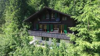 Chalet Tannegüetli - Grindelwald - 0