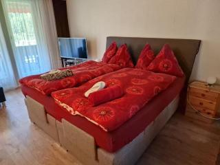 Haus Ahorni,  ruhige 1 Zi-Wohnung, Wi-Fi, Aussicht, - b48579 - 6